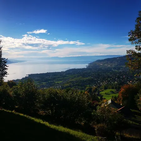 Domek alpejski Elvira House Montreux, Un Lieu Magique ! *