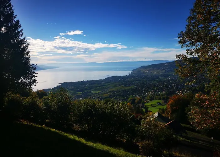 Domek alpejski Elvira House Montreux, Un Lieu Magique ! *