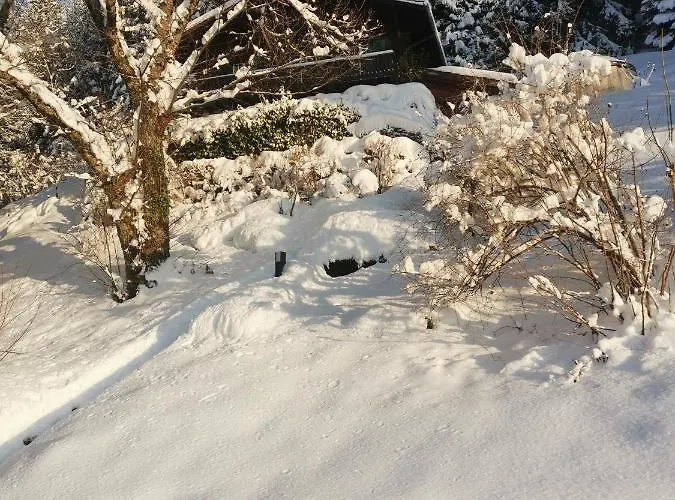 Chalet Elvira House Montreux, Un Lieu Magique ! *