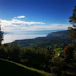 Chalet Elvira House Montreux, Un Lieu Magique ! *