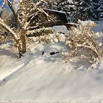 Chalet Elvira House Montreux, Un Lieu Magique ! *